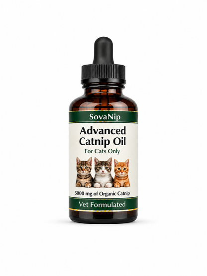 Advanced CatNip Oil