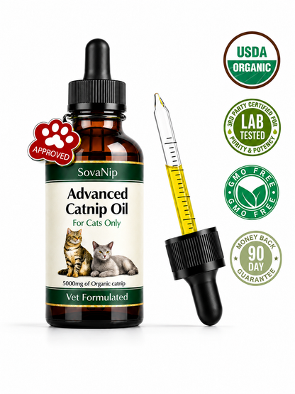 Advanced CatNip Oil